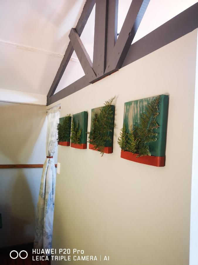 Treur River Lodge Moremela エクステリア 写真