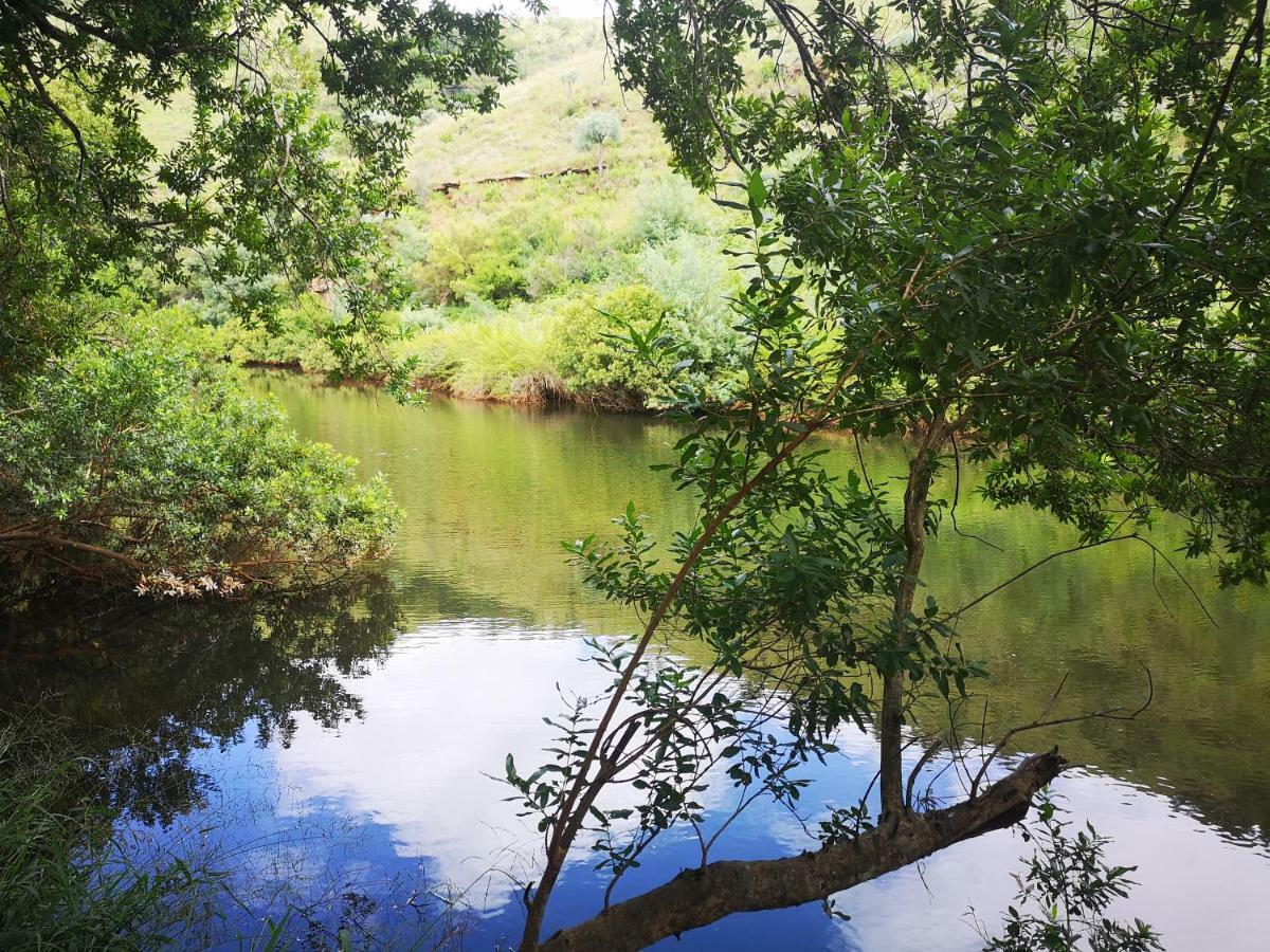 Treur River Lodge Moremela エクステリア 写真