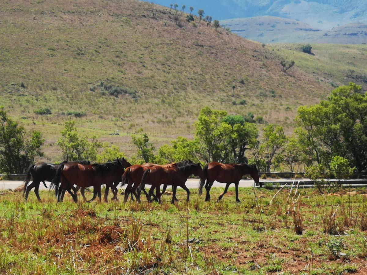 Treur River Lodge Moremela エクステリア 写真